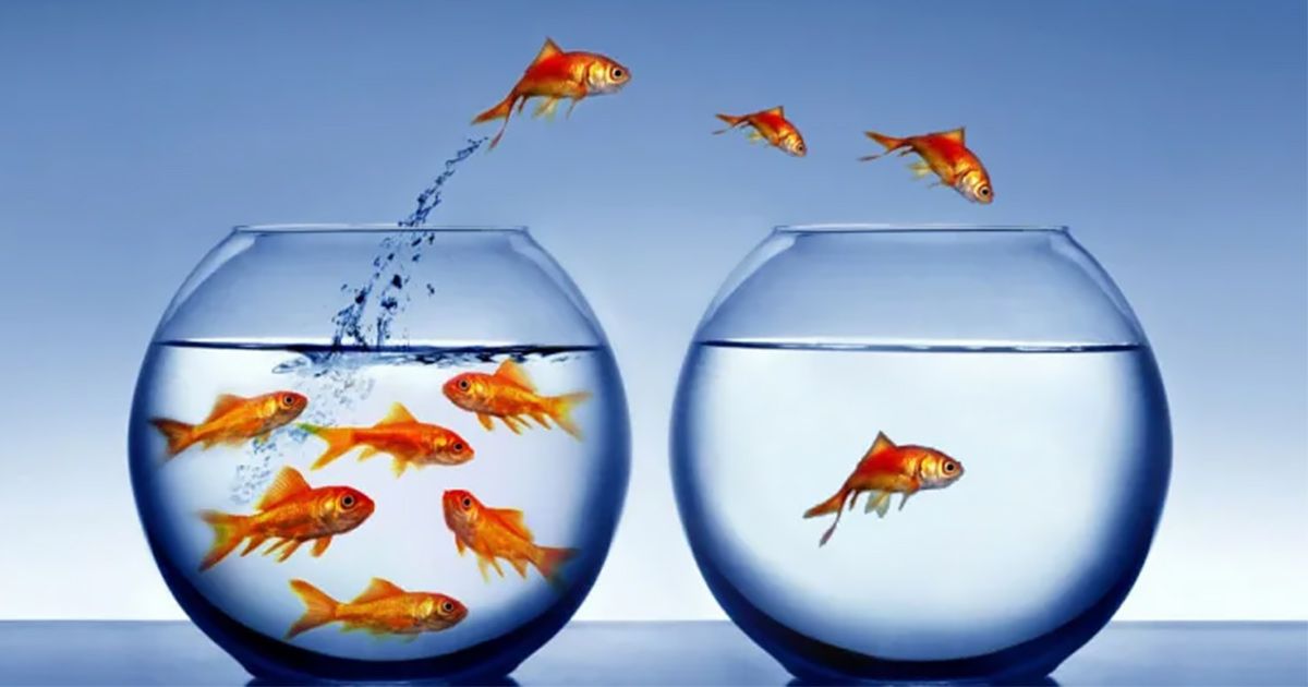 7 Tips To Improve Customer Retention